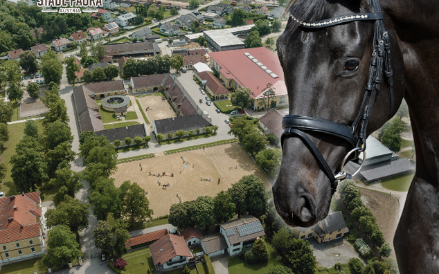 Österreichisches Pferdezentrum Stadl-Paura