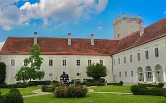 Museum 1212 Enns