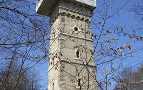 Museum Item Image