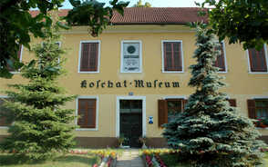 Museum Item Image