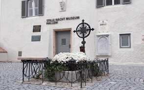 Museum Item Image