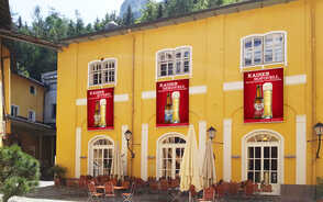 Museum Item Image