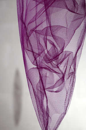 Elisa Treml