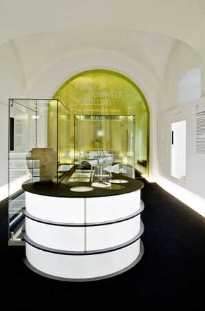 © Keltenmuseum Hallein / Dietmar Tollerian