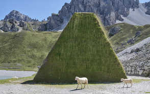 Museum Item Image