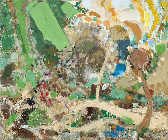 Lichenscape_©MichaelMarkwick