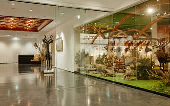 Sammlung Hans Bäumler – Arche Noah