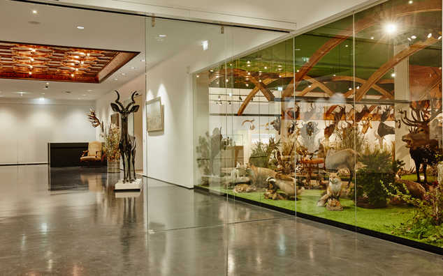 Arche Noah – Sammlung Kunst & Natur 