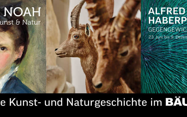 Arche Noah – Sammlung Kunst & Natur 