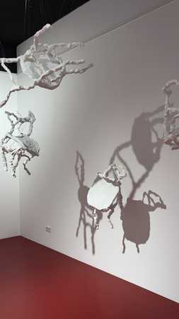Galerie Kukuphi
