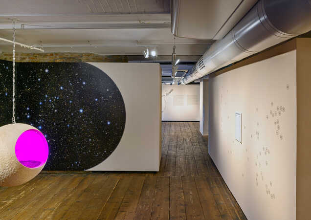 Ausstellungsansicht „Seeds“ © Iris Ranzinger