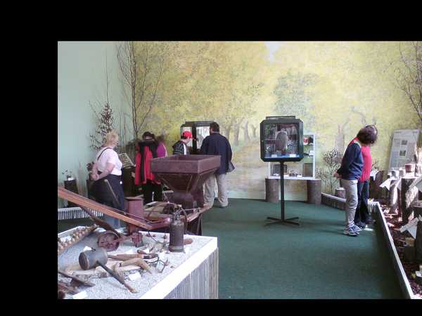 Ausstellung im Museum, © Wiener Stadtgärten