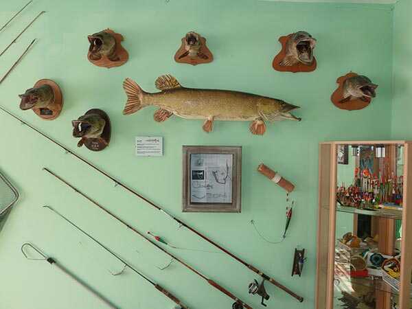 Wiener Fischereimuseum, Gerald Six