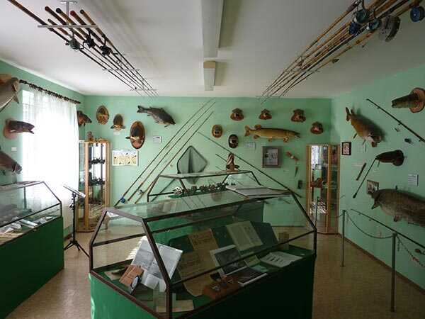 Wiener Fischereimuseum, Gerald Six