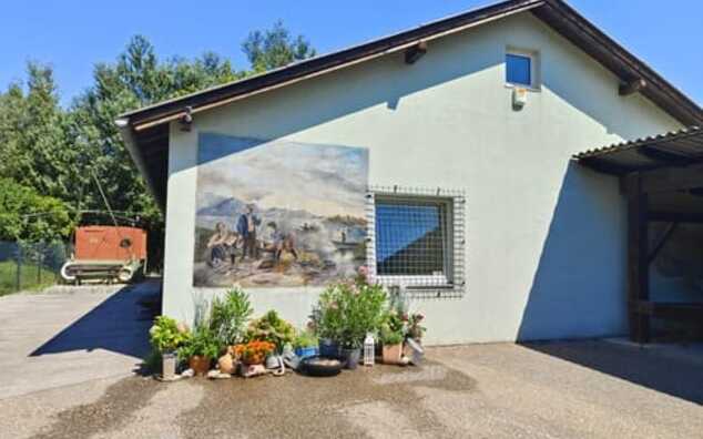 Vienna's First Fishing Museum
