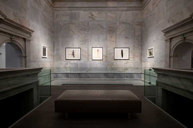 © Arnulf Rainer Museum