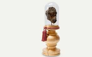 Museum Item Image