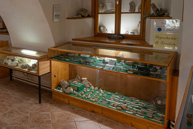 Fossilien und Urgeschichte © Andreas Hermann, 2023